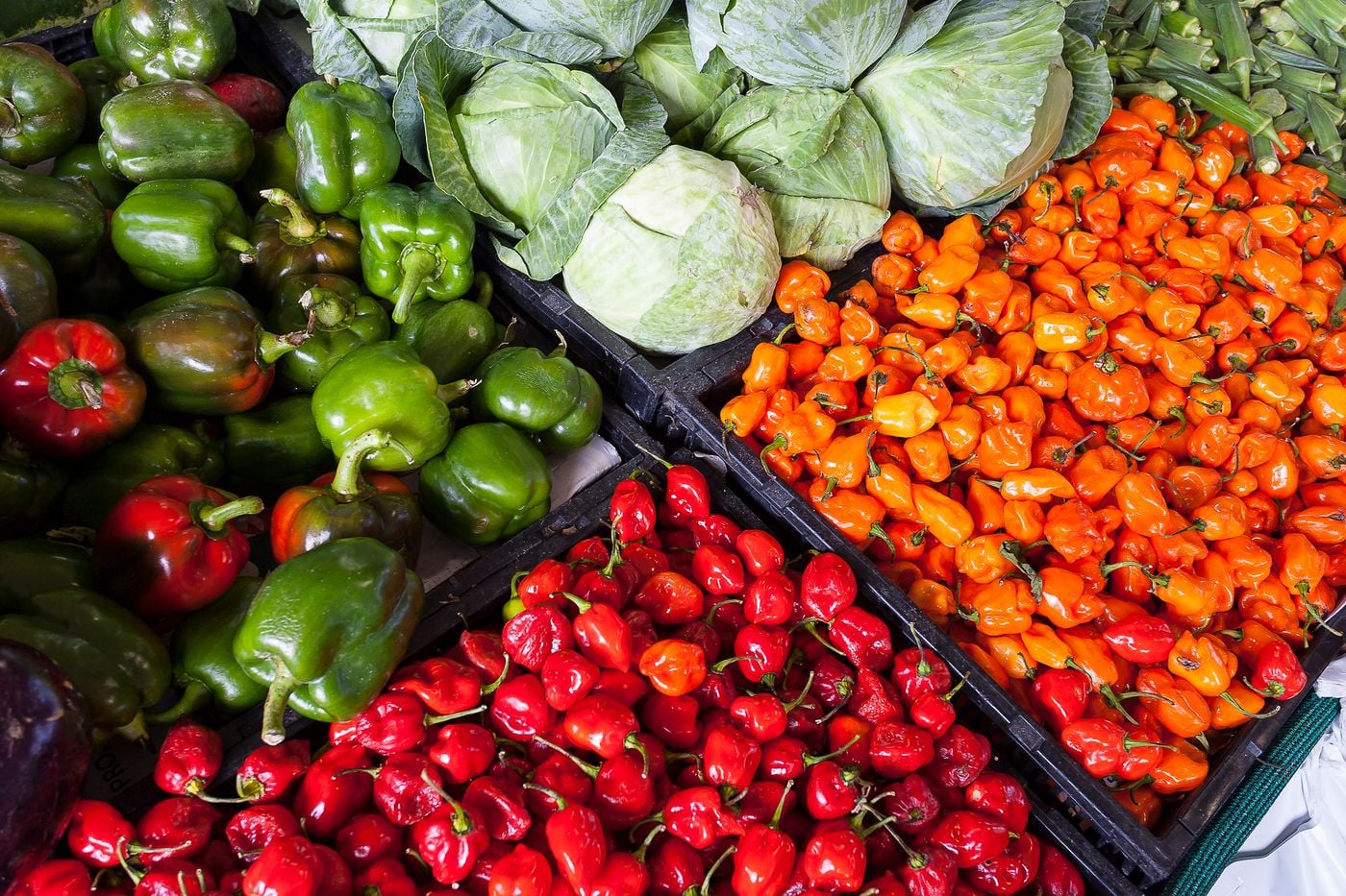 Insumos e produtos agrícolas